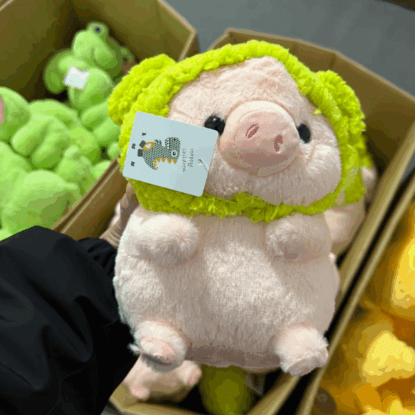 Chancho cubrir