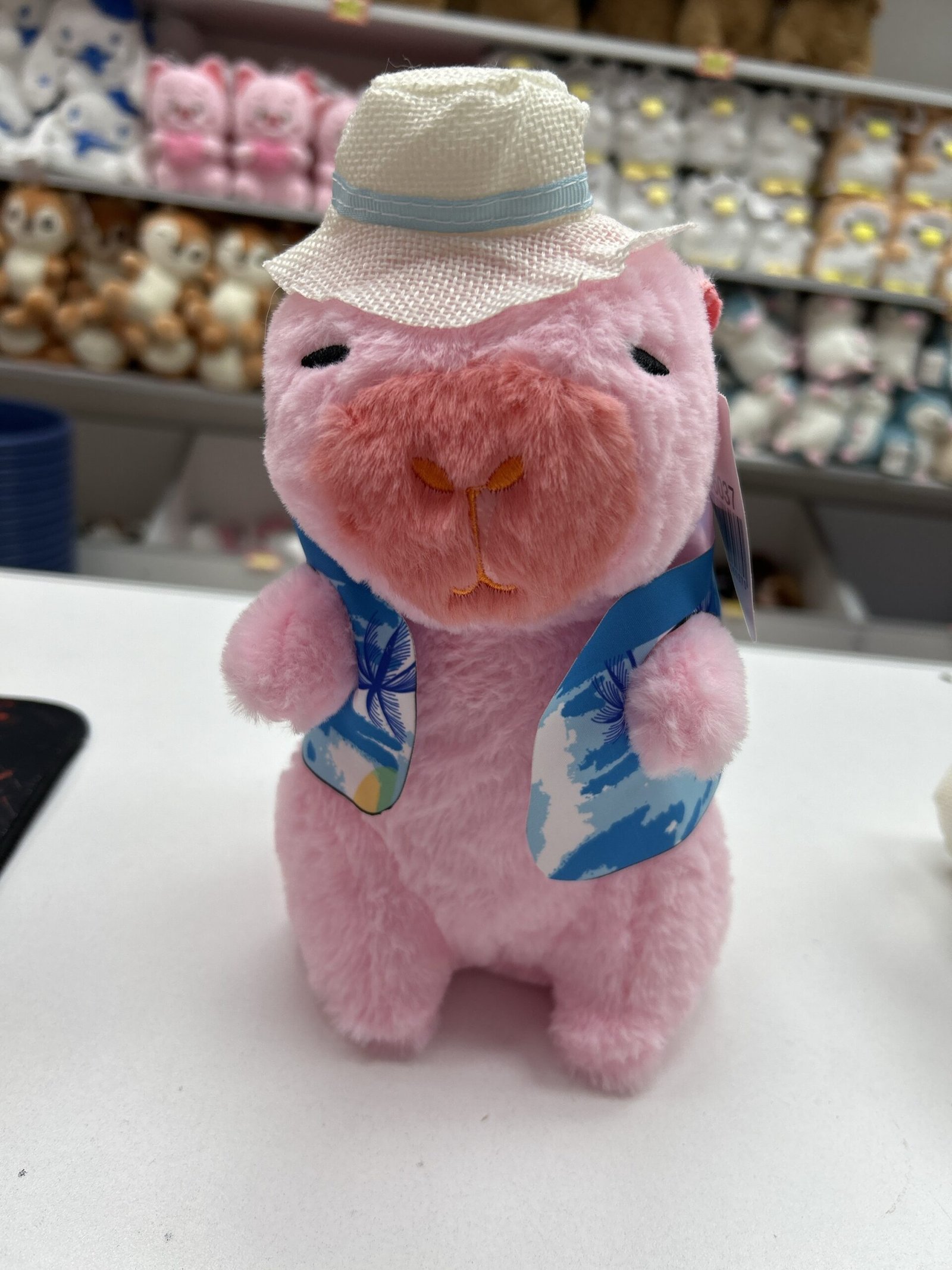 Capybara pondered la ropa 20cm – oncepeluches