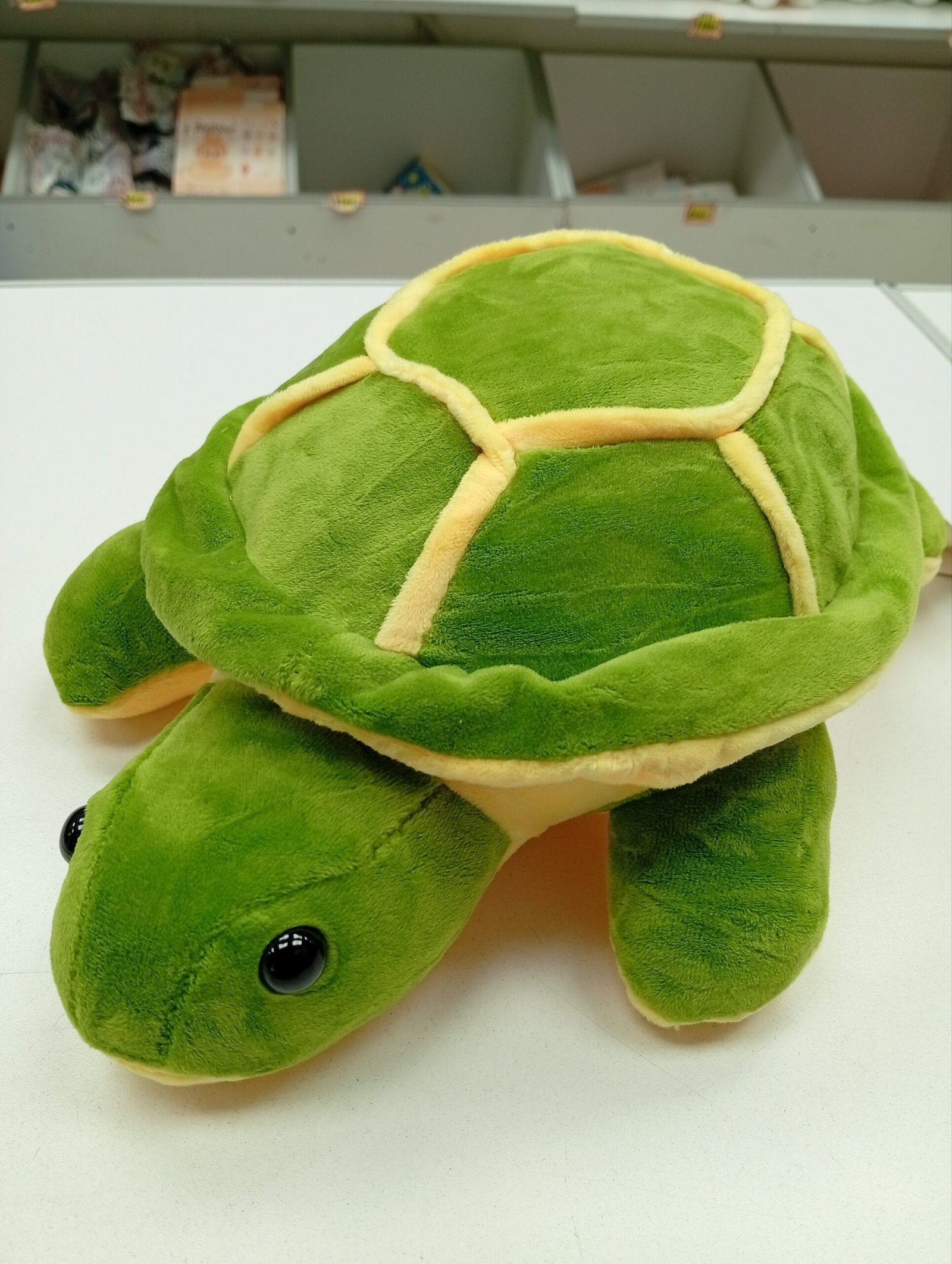 tortuga